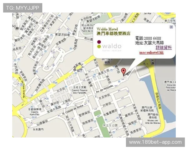 深入了解澳门贵宾厅网站的独特魅力与服务优势 深入了解澳门贵宾厅网站的独特魅力与服务优势